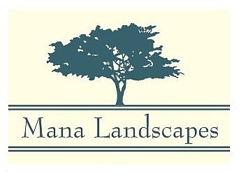 Avatar for Mana Landscapes
